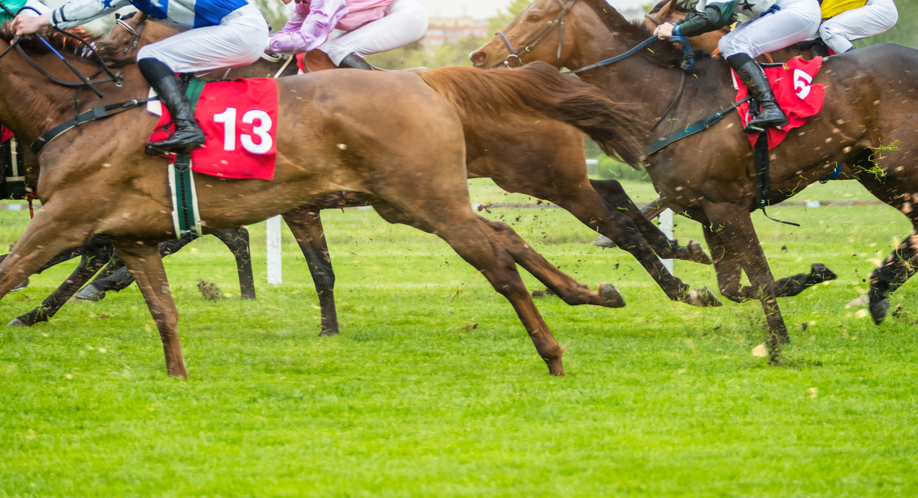 Horse Racing Outdoor Derby